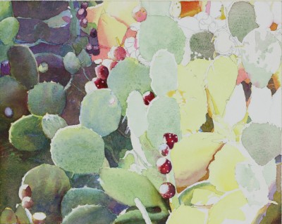 Prickly-Pear-Cactus-Blog-Judith-Glover